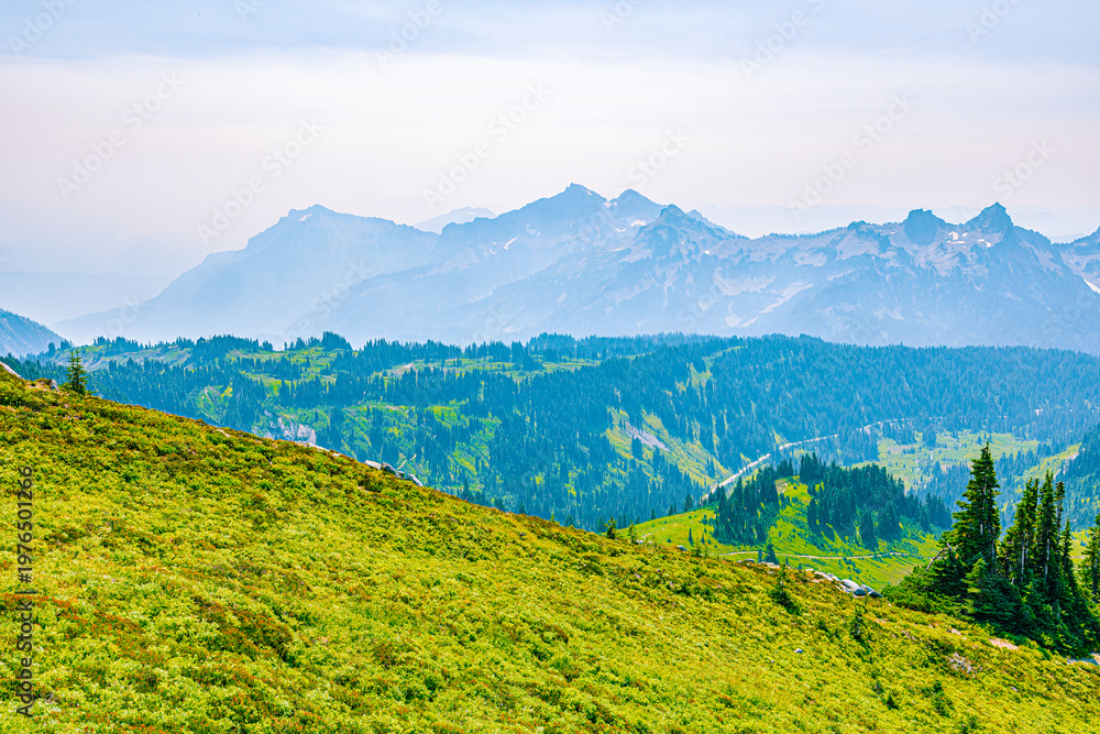 Naklejka premium A telephoto perspective of blue-toned mountain layers and jagged peaks viewed from a high-altitude meadow in the Pacific Northwest