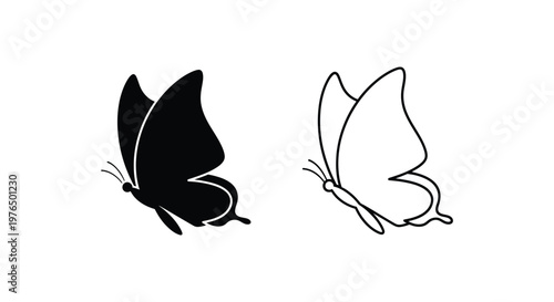 Elegant Butterfly Designs Minimalist Art  Symbolic Graphics Vector