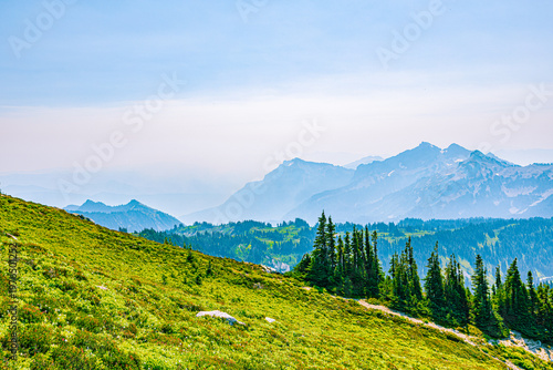Εκτύπωση καμβά A scenic overlook showing a grassy hillside in the foreground with a group of evergreen trees looking out toward distant, hazy mountain peaks in the Cascade Range