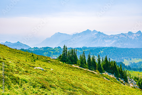 Bilde på lerret Bright green hillside with clusters of pine trees overlooking hazy mountain ranges in the background