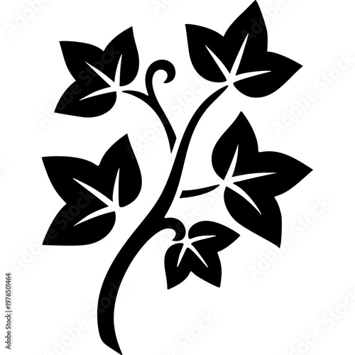 Ivy Icon Vector