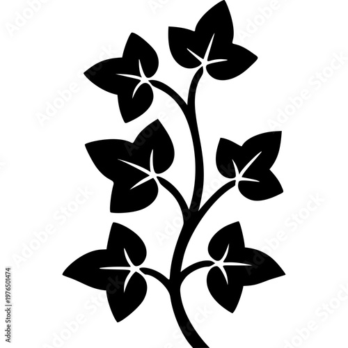 Ivy Icon Vector