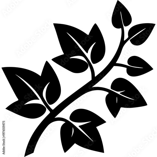 Ivy Icon Vector