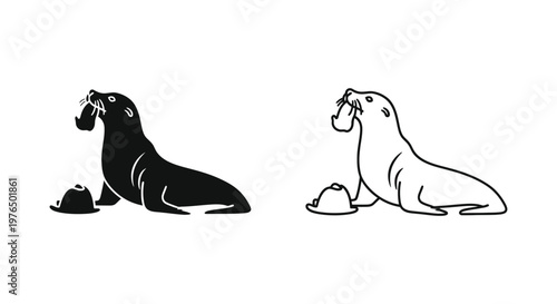 Stunning Sea Lion vs Walrus Comparison Art Vector