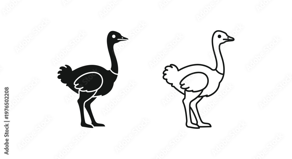 Fototapeta premium Ostrich vs Emu Flightless Bird Comparison Guide Vector