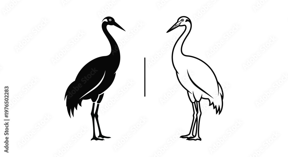 Fototapeta premium Black and White Crane vs Swan Comparison Guide Vector