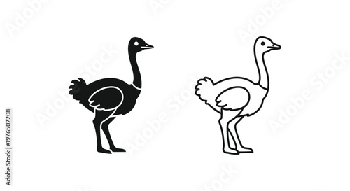 Ostrich vs Emu Flightless Bird Comparison Guide Vector