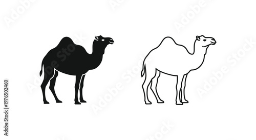 Camel Types Illustrated One-Humped vs Two-Humped Vector