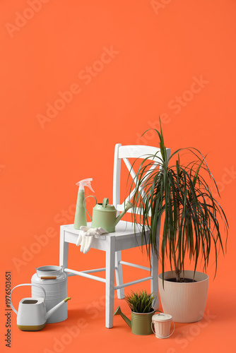 Chair with plants and garde...