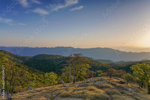 夕暮れ時に輝く大台ヶ原の絶景。新緑の山々と黄金色の光