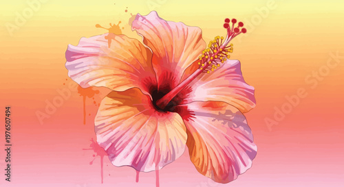 Vibrant Pink Orange Hibiscus Flower Closeup.