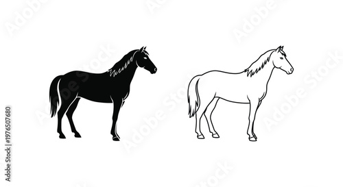 Black vs White Horse Breeds Comparison Guide Vector