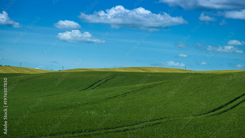 Obraz premium lush green farm fields across a hill terrain with blue sky