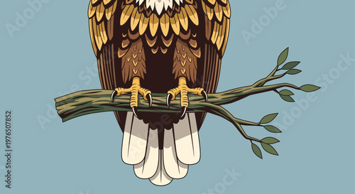 Bald Eagle Perched on Branch.