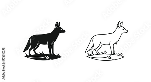 Wild Canine Silhouettes Jackal vs Coyote Comparison Guide Vector
