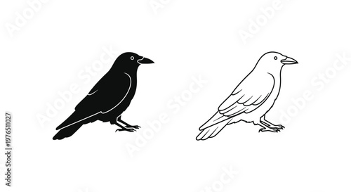 BlackAndWhiteCrowBirdIllustrationSimpleDesign Vector