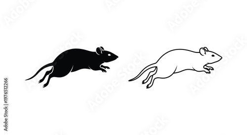 Rat vs Mouse Key Differences Illustrated Vector