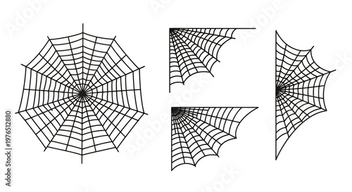 Close-up study of intricate spider webs across a plain white background, multiple perspectives.
