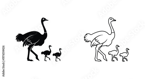 Ostrich And Emu Family Portraits Comparison Vector