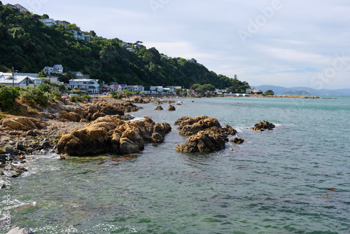 Karaka Bays lies on the northeast coast of the Miramar Peninsula, 6 km east-south-east of the city centre - Wellington, New Zealand