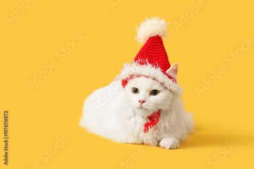 Cute white cat in funny San...