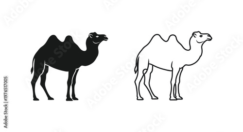 Tableau sur toile Camels Bactrian vs Dromedary Illustrated Guide Vector