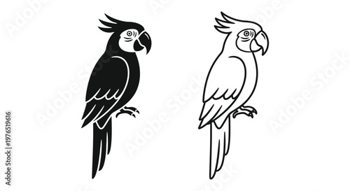 BlackAndWhiteParrotIllustrationsCreativeDesign Vector