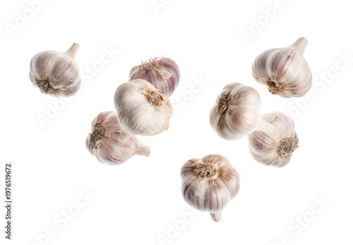 Flying fresh garlic on whit...