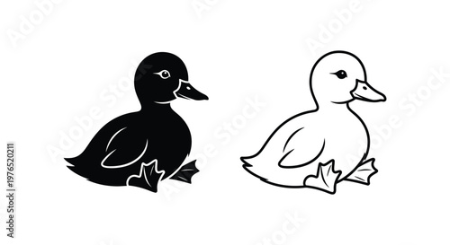 Duck Illustrations Male Female Simple Art Design Vector