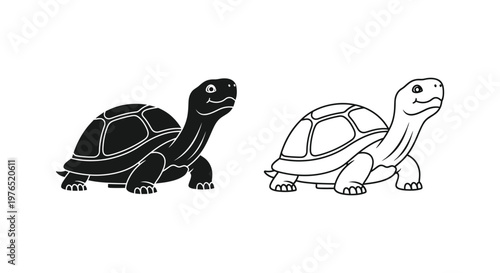 Cute Tortoise Drawing Ideas for Beginners Vector