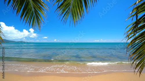 Tropical palm trees overlooking turquoise ocean waves on a sandy beach