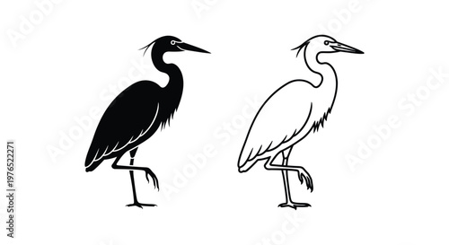 Black and White Wading Birds Silhouette Illustration Vector