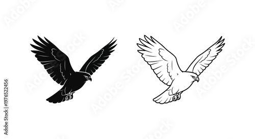 Symbolic Birds Raven  Dove Vector Illustrations Vector