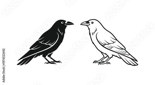 Black And White Crow Birds Illustration Guide Vector