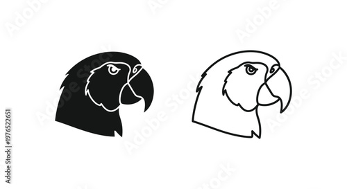 Vibrant Parrot Designs  Illustration Templates Vector