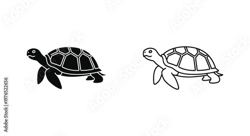 Turtle Graphics Cute Sea  Land Turtle Illustrations Vector