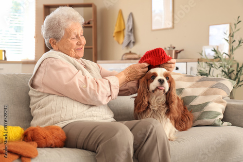 Senior woman putting knitte...