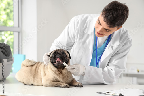 Male veterinarian with stet...