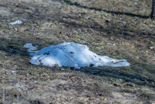 Foto Granular ice dissolving into dark soil among fallen leaves and shadows