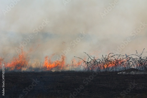 Wild grass/brush fire on prairie or pasture.  