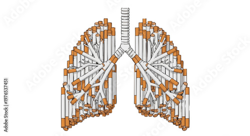 Human lungs constructed from cigarettes. A vector concept illustrating the dangers of smoking and addiction on a white background