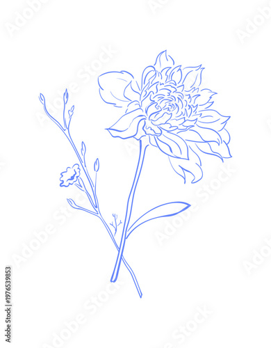 Cute whimsical coquette flower sketch in soft blue line art style. Delicate hand drawn blossom as floral icon and subtle background accent. Elegant flower social media element for card frame or