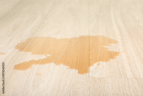Wooden laminate floor with ...