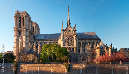Obraz na płótnie Notre-Dame de Paris cathedral bathed in warm spring light on Seine riverbank