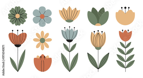 Collection of various colorful flower illustrations.