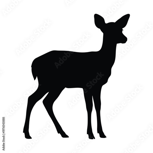 Silhouette of a young deer standing calmly in a natural setting