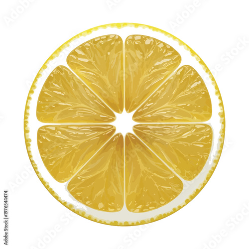 Freshly sliced lemon with vibrant yellow segments and white pith visible
