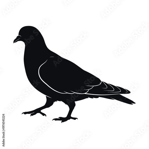 Silhouette of a pigeon standing on a plain background.