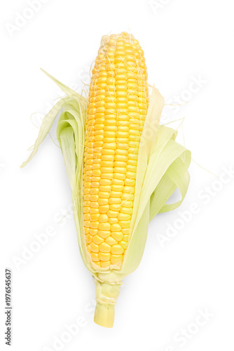 Fresh corn cob on white bac...