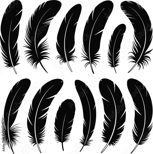 PrintFeather silhouette illustration collection, decorative bird quill artwork, natural vector design, stylized plume concept, artistic pattern element, black feather artwork